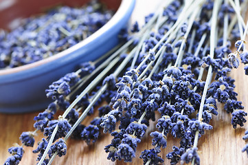 Image showing Dried lavender