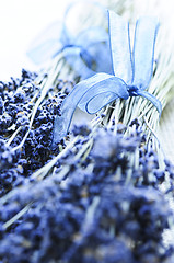 Image showing Dried lavender