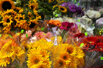 Image showing Flowers for sale