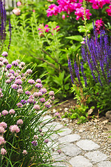 Image showing Path in blooming garden