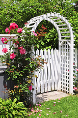 Image showing White arbor in a garden