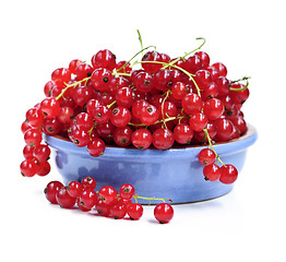 Image showing Red currants