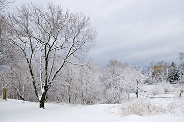 Image showing Winter landscape