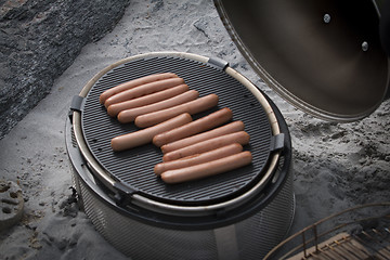 Image showing Hot Dogs