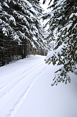 Image showing Winter landscape