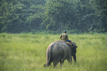 Image showing Mahout or elephant rider riding a female elephant