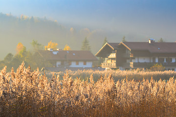 Image showing Autumn morning landscape with fog over lake