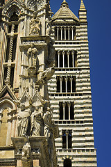 Image showing Siena cathedrale