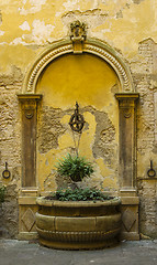 Image showing Detail of a garden in Siena