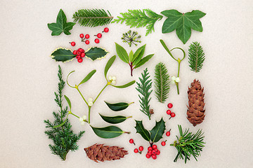 Image showing Winter Leaves with Holly and Mistletoe