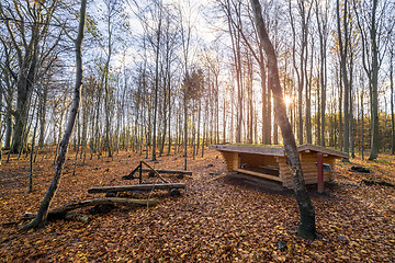 Image showing Shelter in a forest sunrise