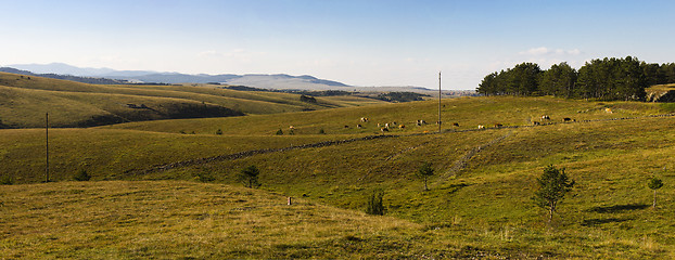 Image showing Zlatibor mountain panorama