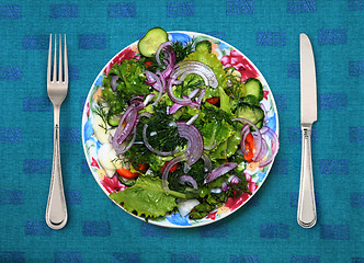 Image showing vegetarian food on white plate