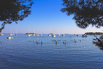 Image showing Anchored sailing boats in the bay on island Murter, Croatia