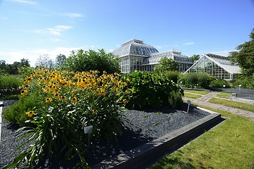 Image showing HELSINKI, FINLAND – JUNE 27 2018:  The University of Helsinki 