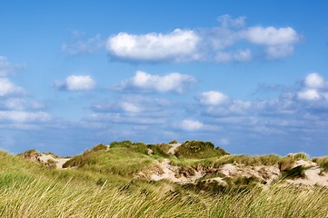 Image showing Sand Dunes with Grass