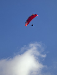 Image showing Parasailing in a blue sky