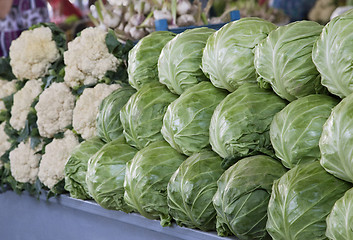 Image showing Fresh cabbages and cauliflower at a market