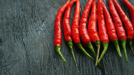 Image showing Composed row of red chili peppers