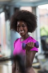 Image showing woman working out in a crossfit gym with dumbbells