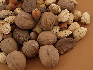 Image showing Mixed Nuts
