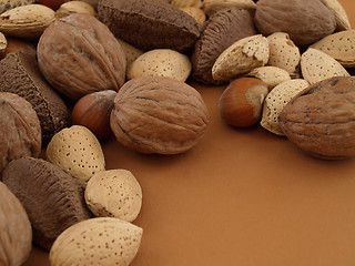 Image showing Nuts on Tan