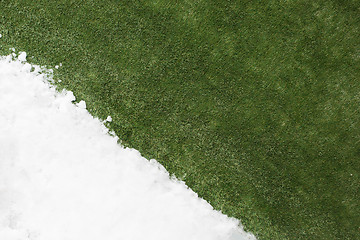 Image showing Meeting snow on green grass close up - between winter and spring concept background