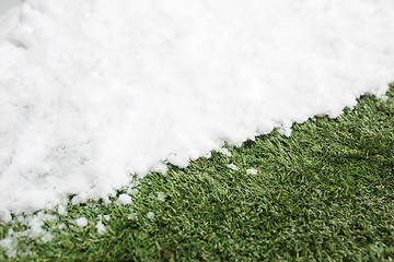 Image showing Meeting snow on green grass close up - between winter and spring concept background