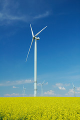 Image showing farm of windturbines close to rape field