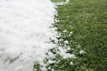 Image showing Meeting snow on green grass close up - between winter and spring concept background