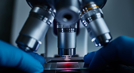 Image showing Scientist hands with microscope