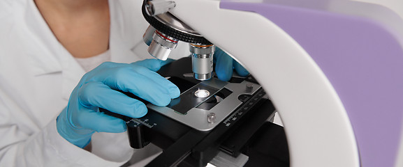 Image showing Scientist hands with microscope