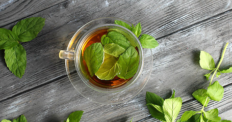 Image showing Glass of herbal tea with mint