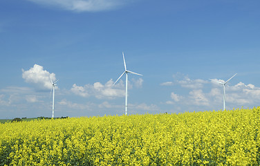 Image showing farm of windturbines close to rape field