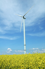 Image showing a windturbine into a rape field