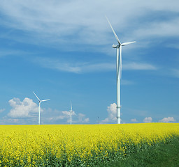 Image showing farm of windturbines close to rape field