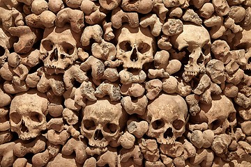 Image showing Skulls and bones in a wall