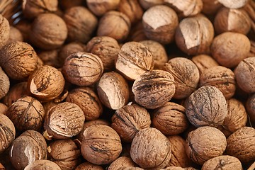 Image showing Walnuts in a pile