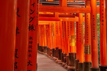 Image showing Fushimi Inari Taisha torii gates