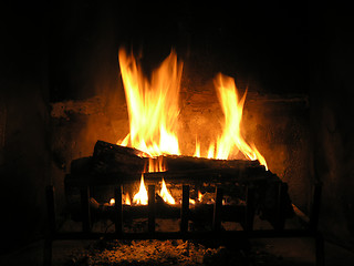 Image showing Burning Logs