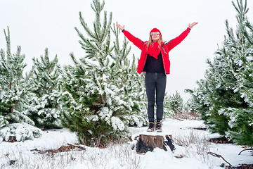 Image showing Standiing among the snow covered pine tree forests