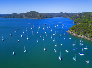 Image showing Luxury yachts moored at Brooklyn Australia