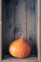 Image showing a typical orange pumpkin on wooden background