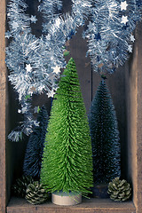 Image showing Christmas decoration trees and pinecones in a wooden box backgro