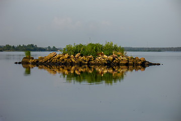 Image showing Rock with vegetation in the river