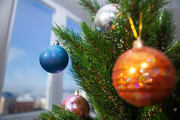 Image showing New Year tree near window at winter