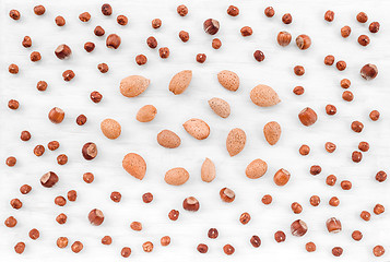 Image showing Hazelnuts and almonds on white wooden background