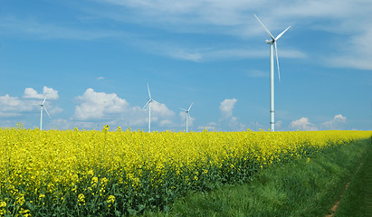 Image showing farm of windturbines close to rape field