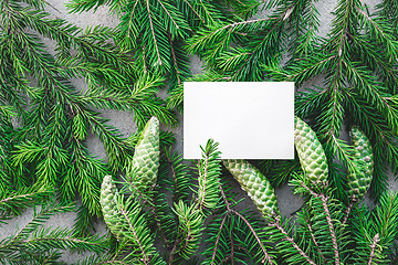 Image showing Blank white card and green fir branches