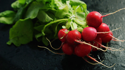 Image showing Bunch of ripe radish